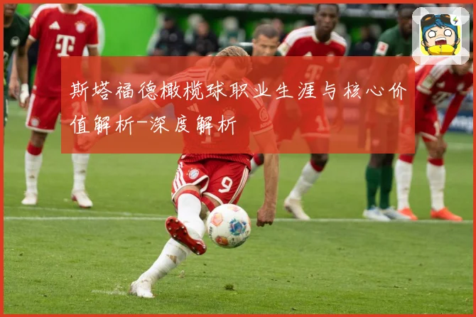 斯塔福德橄榄球职业生涯与核心价值解析-深度解析