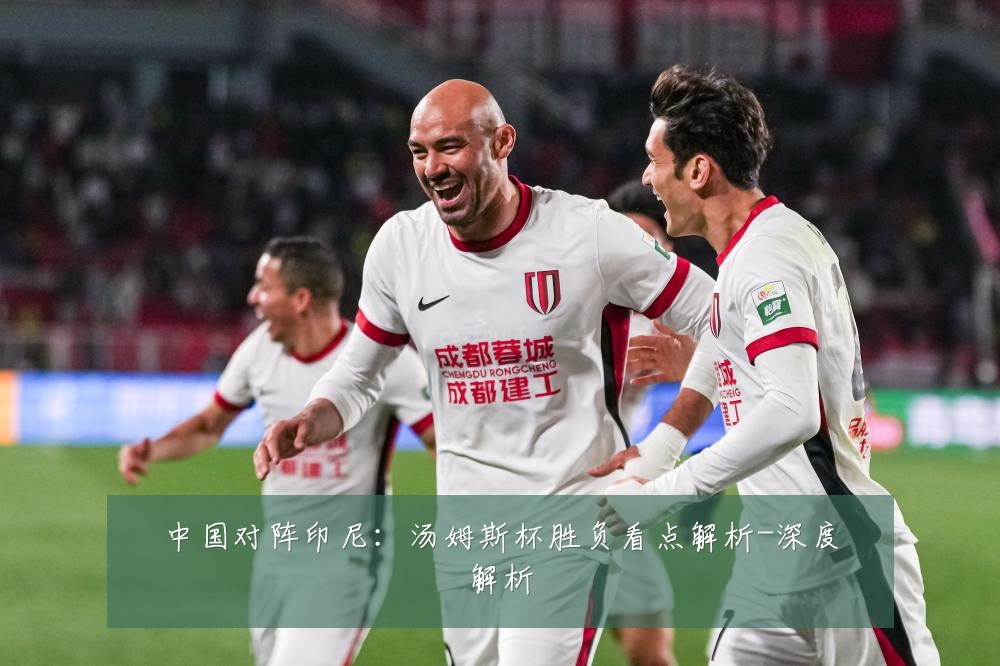 中国对阵印尼:汤姆斯杯胜负看点解析-深度解析